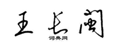梁锦英王长闽草书个性签名怎么写