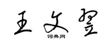 梁锦英王文翌草书个性签名怎么写
