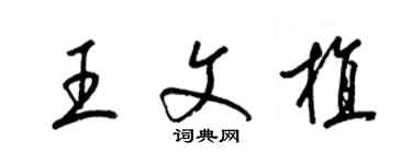 梁锦英王文植草书个性签名怎么写