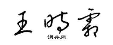 梁锦英王时霜草书个性签名怎么写