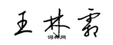 梁锦英王林霜草书个性签名怎么写