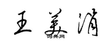 梁锦英王美涓草书个性签名怎么写