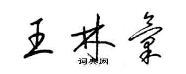 梁锦英王林汇草书个性签名怎么写