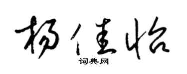 梁锦英杨佳怡草书个性签名怎么写