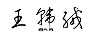 梁锦英王韩绒草书个性签名怎么写