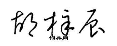 梁锦英胡梓辰草书个性签名怎么写