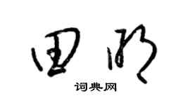 梁锦英田明草书个性签名怎么写