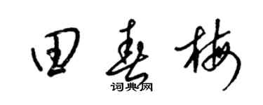 梁锦英田春梅草书个性签名怎么写