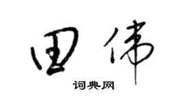 梁锦英田伟草书个性签名怎么写