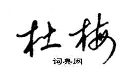 梁锦英杜梅草书个性签名怎么写
