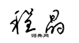 梁锦英程晶草书个性签名怎么写