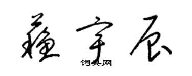 梁锦英苏宇辰草书个性签名怎么写
