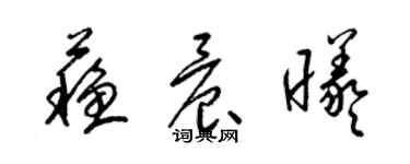 梁锦英苏晨曦草书个性签名怎么写