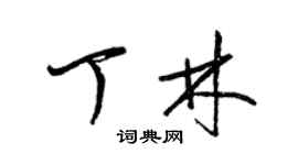 梁锦英丁林草书个性签名怎么写