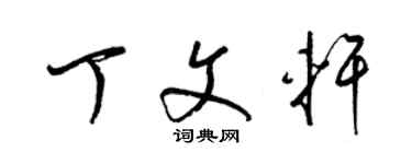 梁锦英丁文轩草书个性签名怎么写