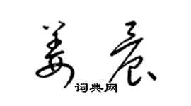 梁锦英姜晨草书个性签名怎么写