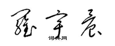 梁锦英罗宇晨草书个性签名怎么写
