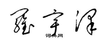 梁锦英罗宇泽草书个性签名怎么写
