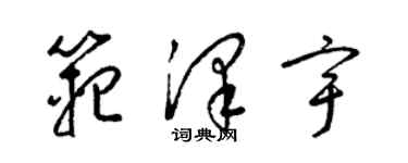梁锦英范泽宇草书个性签名怎么写