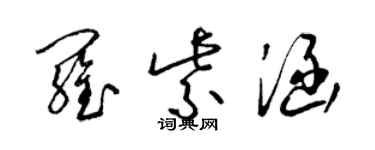 梁锦英罗紫涵草书个性签名怎么写