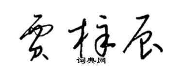 梁锦英贾梓辰草书个性签名怎么写
