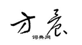 梁锦英方晨草书个性签名怎么写