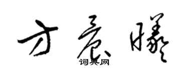 梁锦英方晨曦草书个性签名怎么写