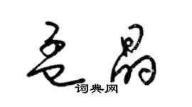 梁锦英孟晶草书个性签名怎么写