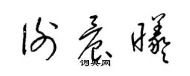 梁锦英谢晨曦草书个性签名怎么写