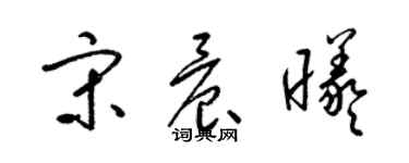 梁锦英宋晨曦草书个性签名怎么写