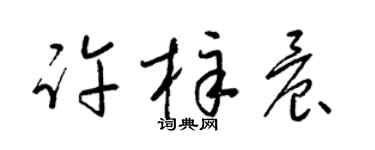 梁锦英许梓晨草书个性签名怎么写