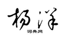 梁锦英杨洋草书个性签名怎么写