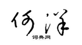 梁锦英何洋草书个性签名怎么写