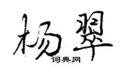 曾庆福杨翠行书个性签名怎么写