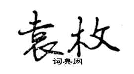 曾庆福袁枚行书个性签名怎么写