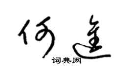 梁锦英何进草书个性签名怎么写