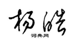 梁锦英杨皓草书个性签名怎么写
