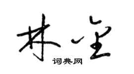 梁锦英林金草书个性签名怎么写