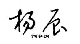 梁锦英杨辰草书个性签名怎么写