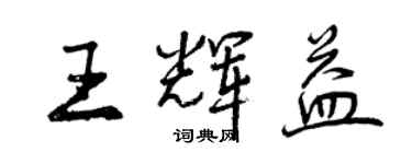 曾庆福王辉益行书个性签名怎么写
