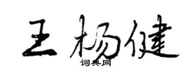 曾庆福王杨健行书个性签名怎么写