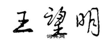 曾庆福王望明行书个性签名怎么写