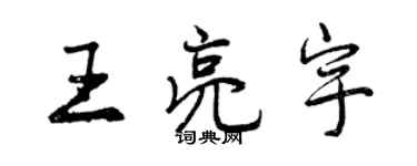 曾庆福王亮宇行书个性签名怎么写