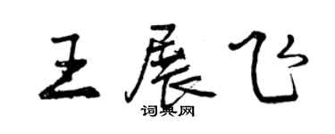 曾庆福王展飞行书个性签名怎么写