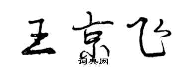 曾庆福王京飞行书个性签名怎么写