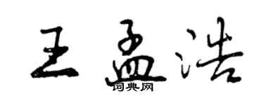 曾庆福王孟浩行书个性签名怎么写