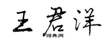 曾庆福王君洋行书个性签名怎么写