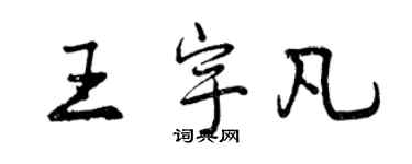 曾庆福王宇凡行书个性签名怎么写