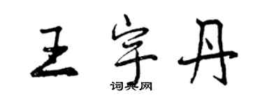 曾庆福王宇丹行书个性签名怎么写
