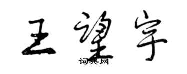 曾庆福王望宇行书个性签名怎么写